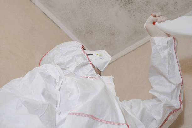 Best Post-Flood Mold Remediation in Hanover, IN